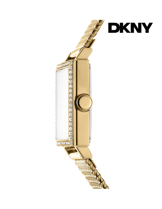DKNY Ladies Watch